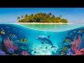 Explore the Hidden Islands of the South Pacific 4K Travel Documentary