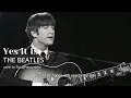 Download Lagu The Beatles Covers – Yes It Is | FlyingPenguinMan