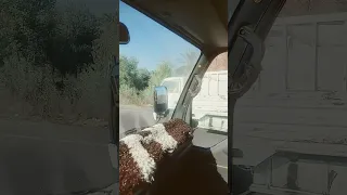 خواطر طریق انا جبروت یهد بیوت طوفان جبار ده لوجالک 