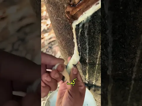 هل سبق و رأيتم هذا الشيء العجيب ؟؟ ❤️🥰 #shorts #قصص #اكسبلور