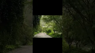 شفتها ياسعود صدفه بدون موسيقى الجزء الاول 