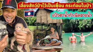 กระท่อมท้ายป่าเลี้ยงสัตว์ป่าเป็นเพื่อนใช้น้ำบริสุทธิ์จากป่าทำเกษตรเลี้ยงชีพ