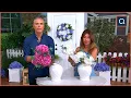 Simply Stunning Home Decor by Janine Graff QVC