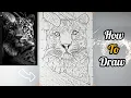 Tiger outline drawing realistic portrait drawing black and white realistic tiger outline
