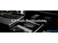 Real iOS Push Notifications with Ionic Push