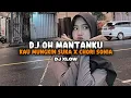 Lagu DJ OH MANTANKU X KAU MUNGKIN SUKA X CHORI SONIA