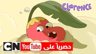 يوم على شاطئ البحر  كلارينس   كرتون نتورك دندنها