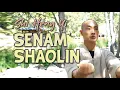 Download Lagu Senam shaolin aktifkan seluruh sendi - senam sehat - senam tiap pagi #gohealthy