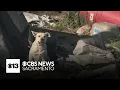 Animal shelters speak out on abandoned dog problem in Stockton
