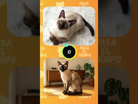 Nunca Sabrás Cuál Es Real y Cuál es IA!