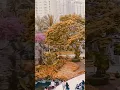 Download Lagu sultan, terpaksa aku lakukan #centralpark