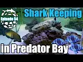 Download Lagu How to Keep \u0026 Care for Marine Sharks, Rays, Groupers \u0026 Eels in the home aquarium.