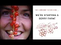 MARKET GARDENING SOFT FRUIT STARTING a small scale BERRY FARM PERMACULTURE FOOD FOREST