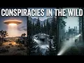 Conspiracies in the Wild (2014) | UFOs, Nazi Secrets \u0026 Hidden Experiments | FREE DOCUMENTARY