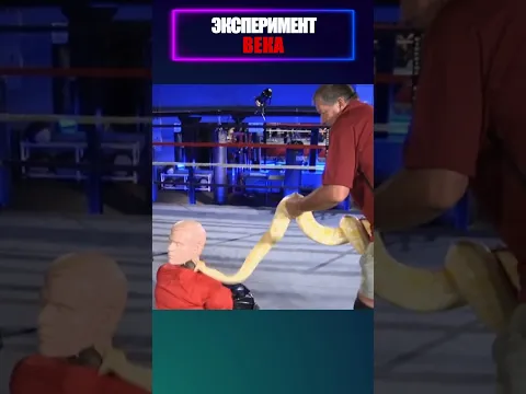 Video Thumbnail: Фёдор так сжал манекен, что удаву стало стыдно за свою профессию. 😂💪🐍 #shorts