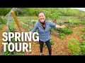 Lazy Gardening Has Paid Off FULL Spring Garden Tour 2024