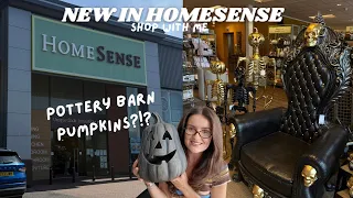 New in Homesense shop with me halloween and autumn first autumn home haul of the year