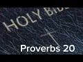 Proverbs 20 NIV The Bible