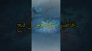 يخاطبني السفيه بكل قبح من أشعار الإمام الشافعي 