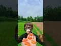 Download Lagu dj maro vage ne boom Padi jay 😝🤪😲 #youtubeshorts #trending #shorts