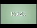 HOMO Meaning