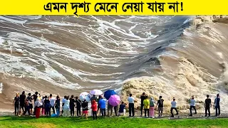 এমন দৃশ্য সহ্য করা যায় না ! চোখের সামনে থেকে সব শেষ হয়ে যাচ্ছে !