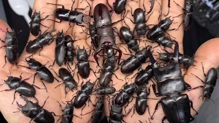 ※폭우가 내린뒤 상황)) 올해 무슨일이죠?? 어딜가도 이렇게 쏟아지고 있습니다.