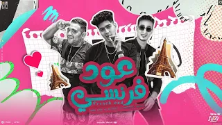 عود فرنسي   طب كسكوسيه   مودي امين   حمو الطيخا   مصطفى مجدي   توزيع قط كرموز دندنها