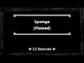 Sponge • Plowed (CC Karaoke / Instrumental)
