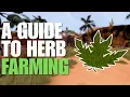 This Guide Will Make Farming In RuneScape Profitable Money Making Ironman Friendly
