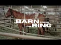 Walking the Old Barn at Bowie Horse Auction Behind the Scenes