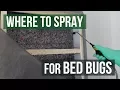 Where to Spray for Bed Bugs Bed Bug Control