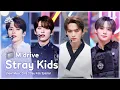 Download Lagu Stray Kids.zip 📂 District 9부터 CASE 143까지 | Show! MusicCore