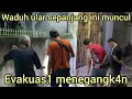 Lagu EVAKUAS1 TENGAH MALAM BUSET ULAR SEPANJANG INI ADA DI TENGAH KOTA PENANGK4PAN DI TEMPAT SEMPIT