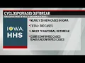 Nearly 30 new cases of cyclosporiasis confirmed in Iowa
