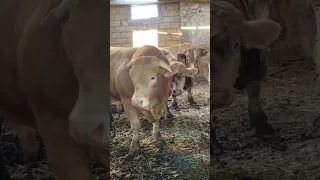 خلي باااالك اليومين دول 