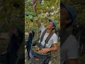Download Lagu Picking in New Zealand 🙌🏼🥝 #workingholidayvisa #newzealand #nuevazelanda #newzealandlife #kiwi