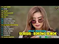 Download Lagu DINI KURNIA - GULU PEDOT, ACLAK, GERIGIS - FULL ALBUM KOPLO OSING BANYUWANGI VIRAL 2025 MP3