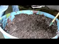 Mixing Super Soil with Jinxproof and Mr Spliff