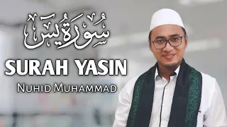 Download Surat Yasin Full (Versi Kalem) | Nada Simpel, Mudah Diikuti | Murottal Nuhid Muhammad MP3