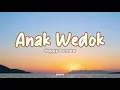 Download Lagu Anak Wedok || Happy Asmara - Lirik ( Lagu \u0026 Terjemahan )