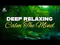 Lagu 🌿ഈ പാട്ടുകൾ നിങ്ങളെ സന്തോഷപ്പെടുത്തും.. | Calm the mind | peaceful melodies | Mind relaxing Jukebox