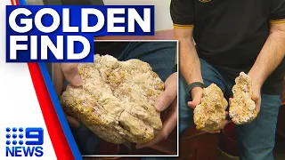 The wife is going to be happy 240k gold nugget found in Victoria 9 News Australia