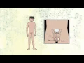 Download Lagu Spring Fever- Male genitals and first ejaculation (education)