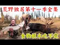 Download Lagu 荒野獨居第十一季全集，史上最強的一季，狩獵到一頭鹿，幾百斤大魚，食物多到吃不完！紀錄片