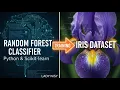 Random Forest Classifier Explained Iris Dataset Tutorial for Beginners