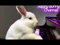 周深 Zhou Shen《万里》钢琴教学｜Synthesia Epic OST Piano