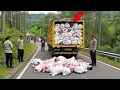 Download Lagu TEMANGGUNG GEMPAR: Truk Berisi 55 Karung Daging Manusia di Sindoro, Ternyata Desa Lakukan Ini
