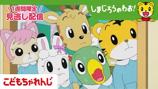 【見逃し配信】テレビ番組「しまじろうのわお！」 9月5日放送 ｜はじめての いたずら｜#740【しまじろうチャンネル公式】