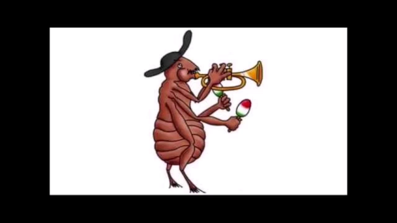 Spanish Flea - 1 Hour (HD)